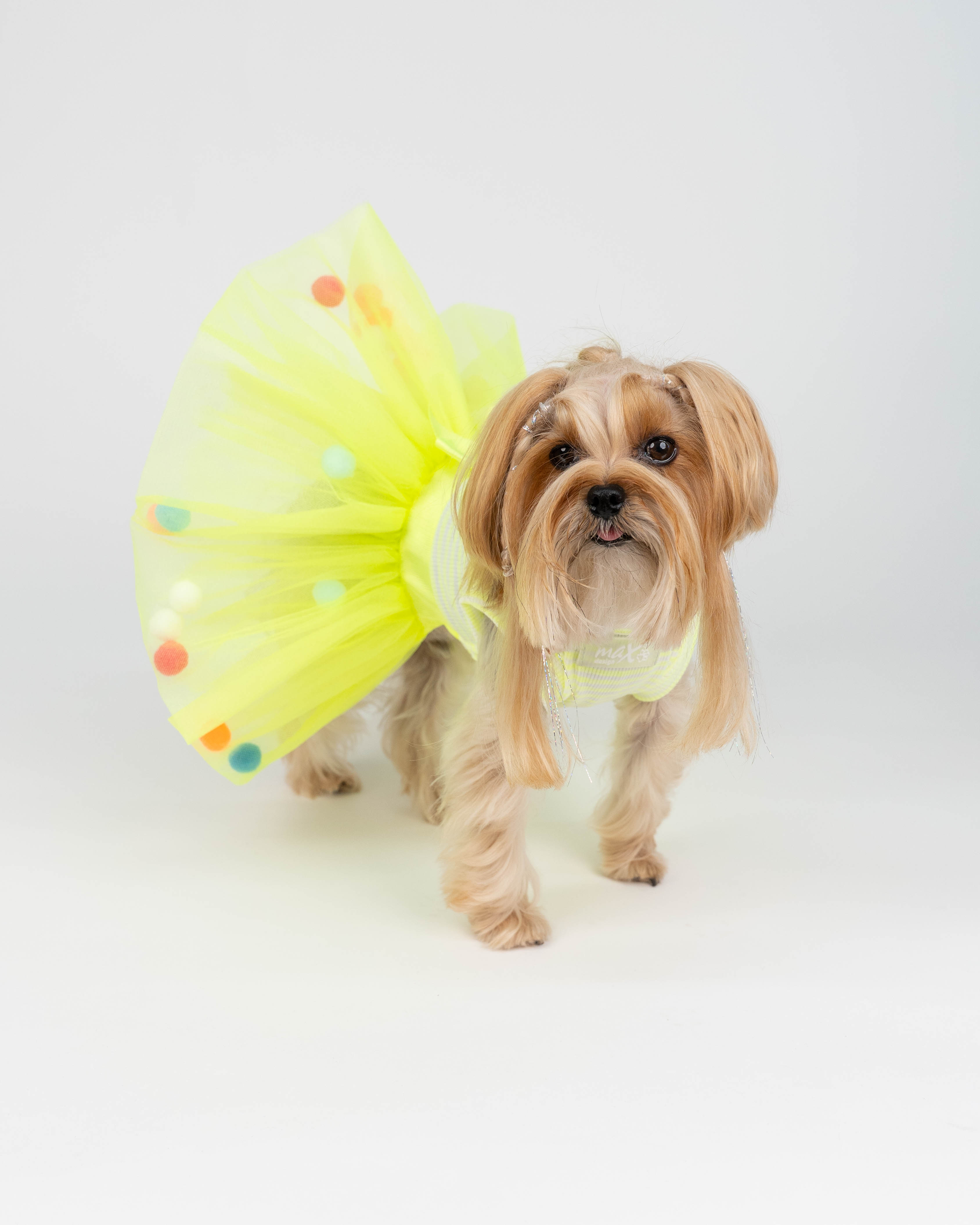 CANDY TÜTÜ SARI